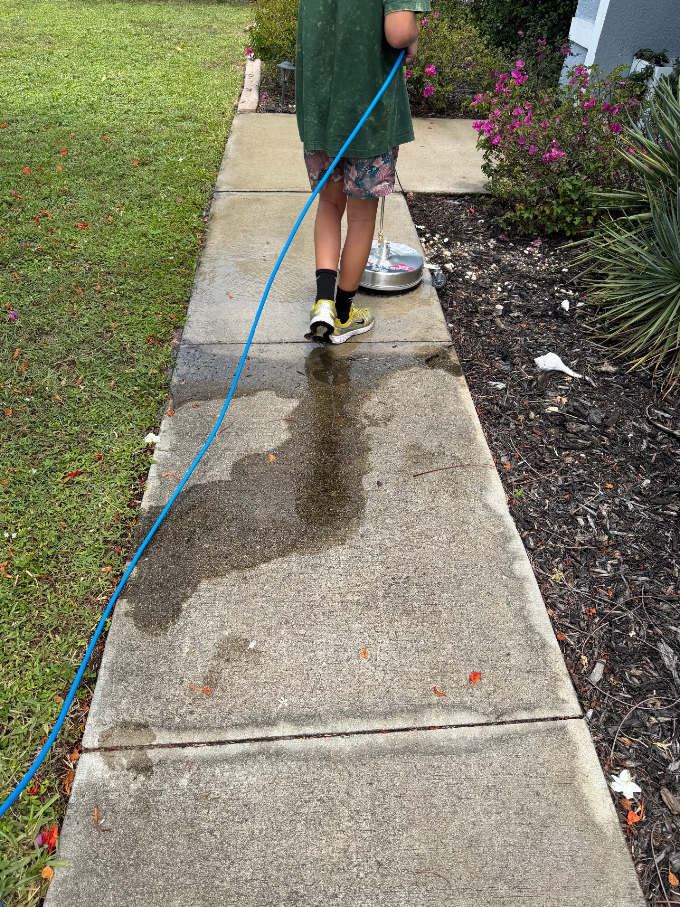 Sidewalk before and after pressure washing